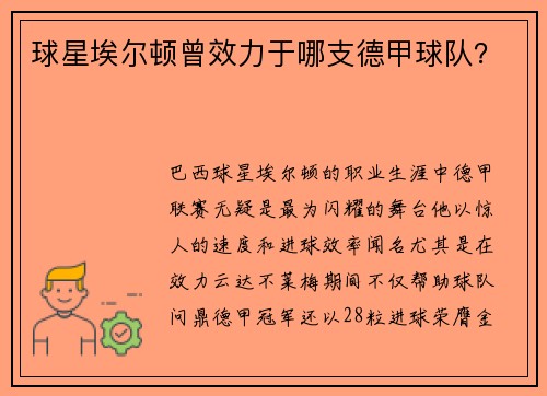 球星埃尔顿曾效力于哪支德甲球队？